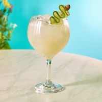 Twilight Polycarbonate Gin Glass